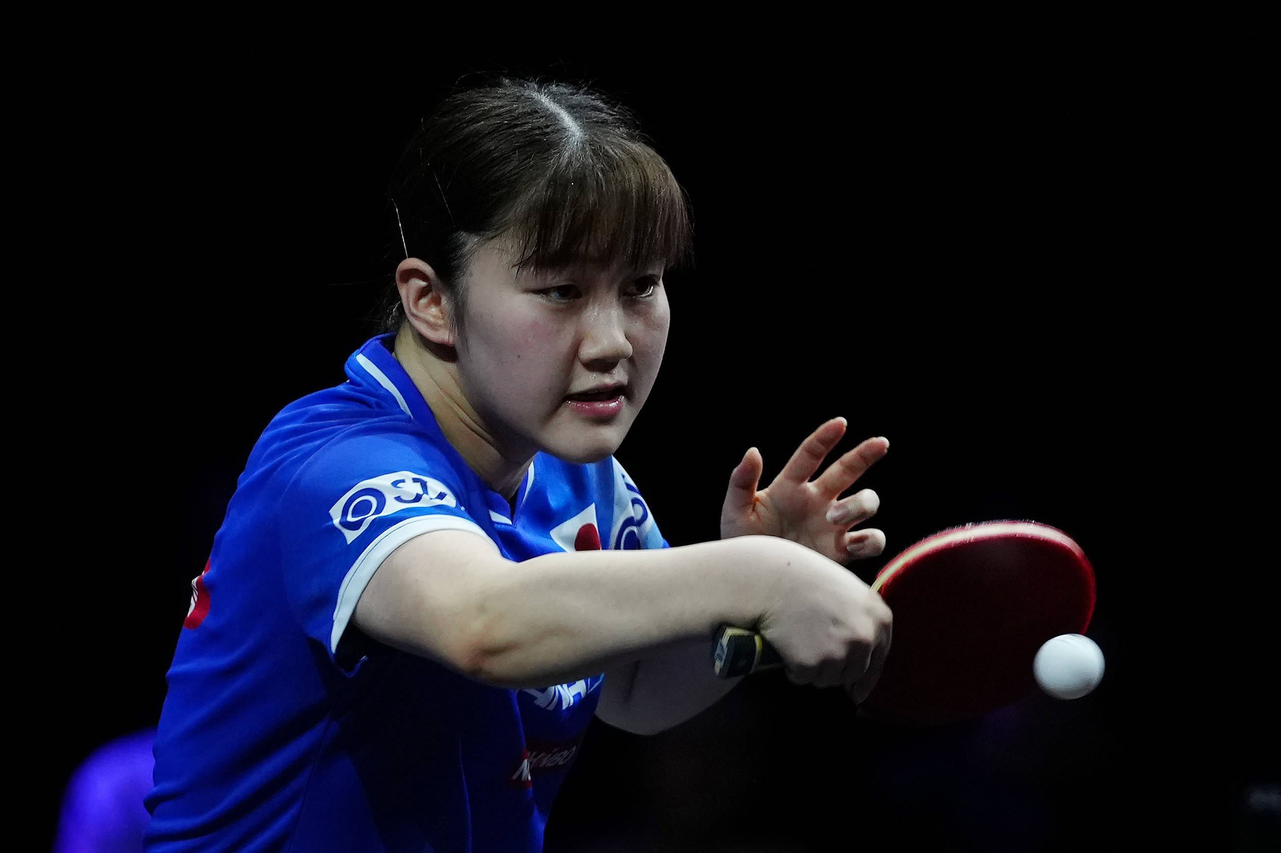 原则与必要 原则与必要