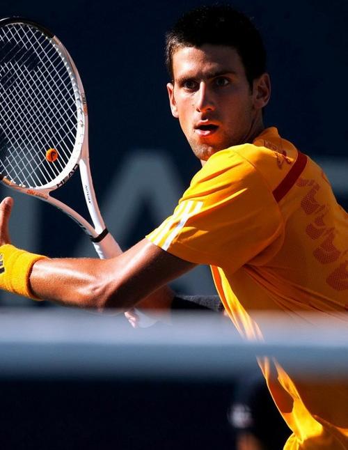 黑马则寻找 黑马则寻找