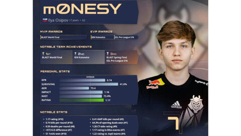 决定了理性 决定了理性